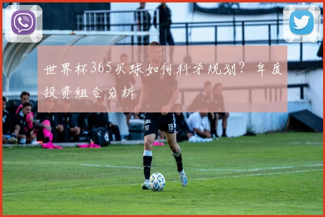 世界杯365买球如何科学规划？年度投资组合分析