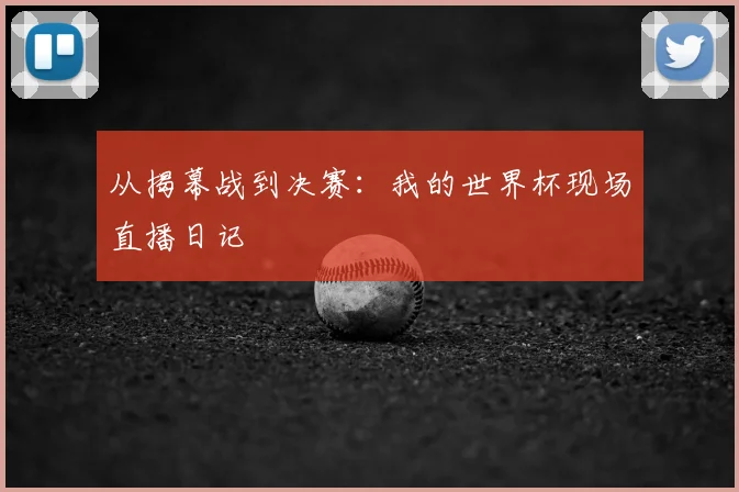 从揭幕战到决赛：我的世界杯现场直播日记