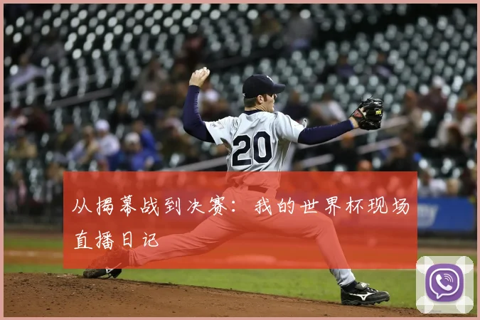 从揭幕战到决赛：我的世界杯现场直播日记