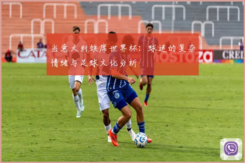 当意大利缺席世界杯：球迷的复杂情绪与足球文化分析