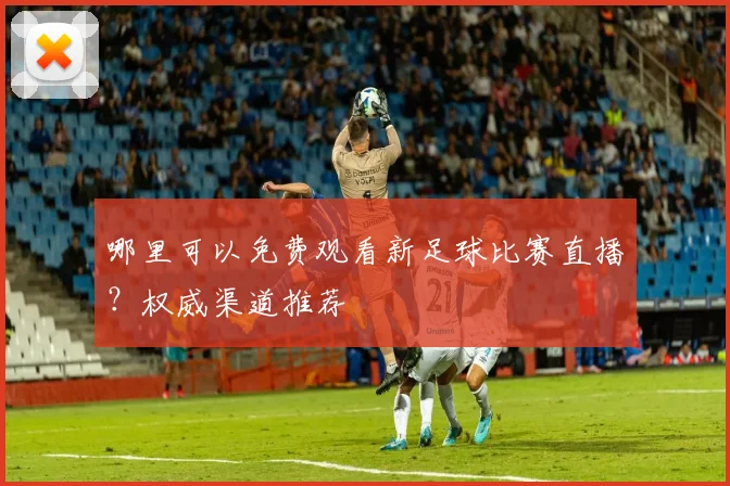 哪里可以免费观看新足球比赛直播？权威渠道推荐