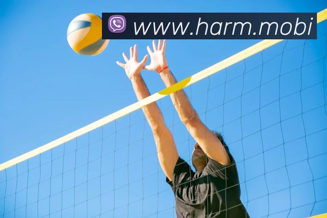 App Interface Preview