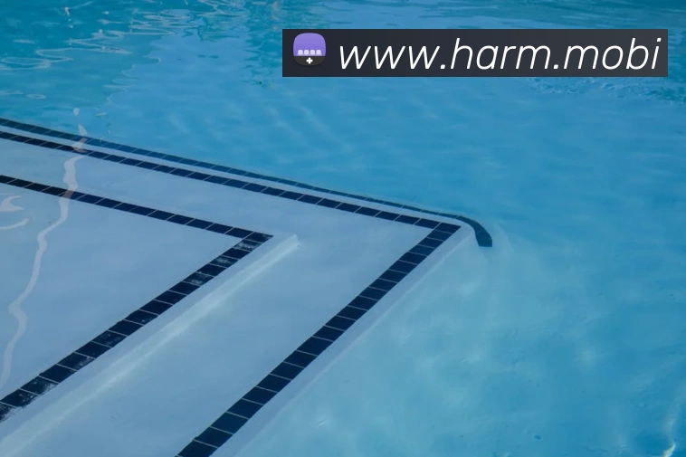 开云app在线下载入口APP 封面图